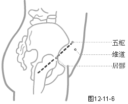 足少阳胆经穴